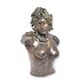A BRONZE BUST OF MEDUSA