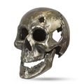 A BRONZE COLOURED CAST IRON SKULL