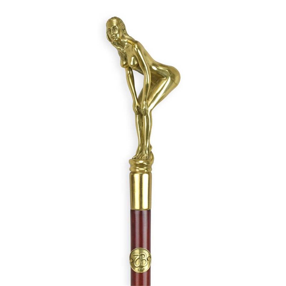 A BRONZE-HANDLED WALKING STICK