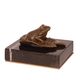 A BRONZE PAPERWEIGHT OF A FROG ON A LILY LEAF (BRASS PLATE U