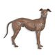 A BRONZE SCULPTURE OF A GREYHOUND