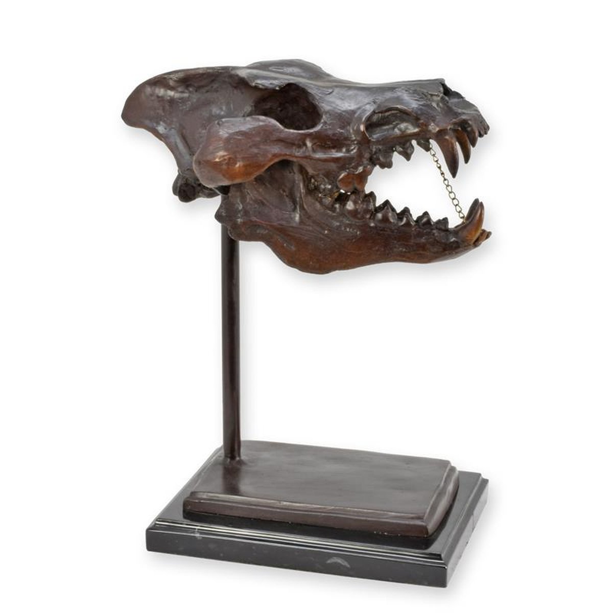 A BRONZE SKULL OF A DIRE WOLF