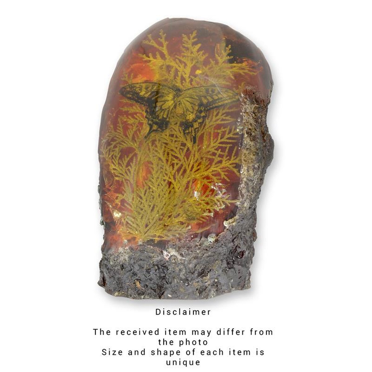 A BUTTERFLY ARTIFICIAL AMBER FOSSIL