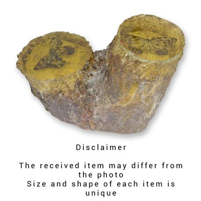 A BUTTERFLY ARTIFICIAL AMBER FOSSIL