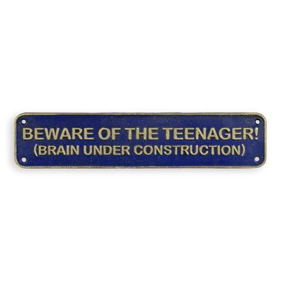 A CAST IRON BEWARE OF THE TEENAGER..." PLAQUE"