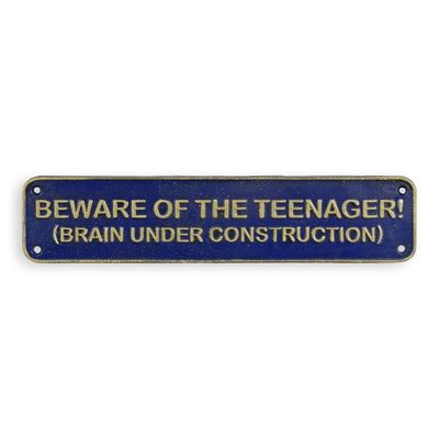 A CAST IRON BEWARE OF THE TEENAGER..." PLAQUE"