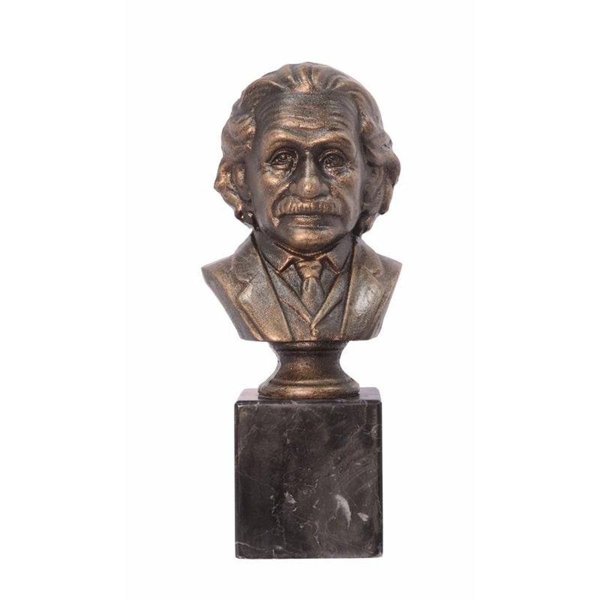 A Cast Iron Bust of Albert Einstein on Marble Base