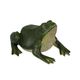 A CAST IRON FROG DOORSTOPPER