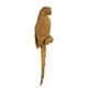 A CAST IRON WALL MOUNT MACAW- RUSTY