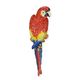 A CAST IRON WALL MOUNT RED AND YELLOW MACAW