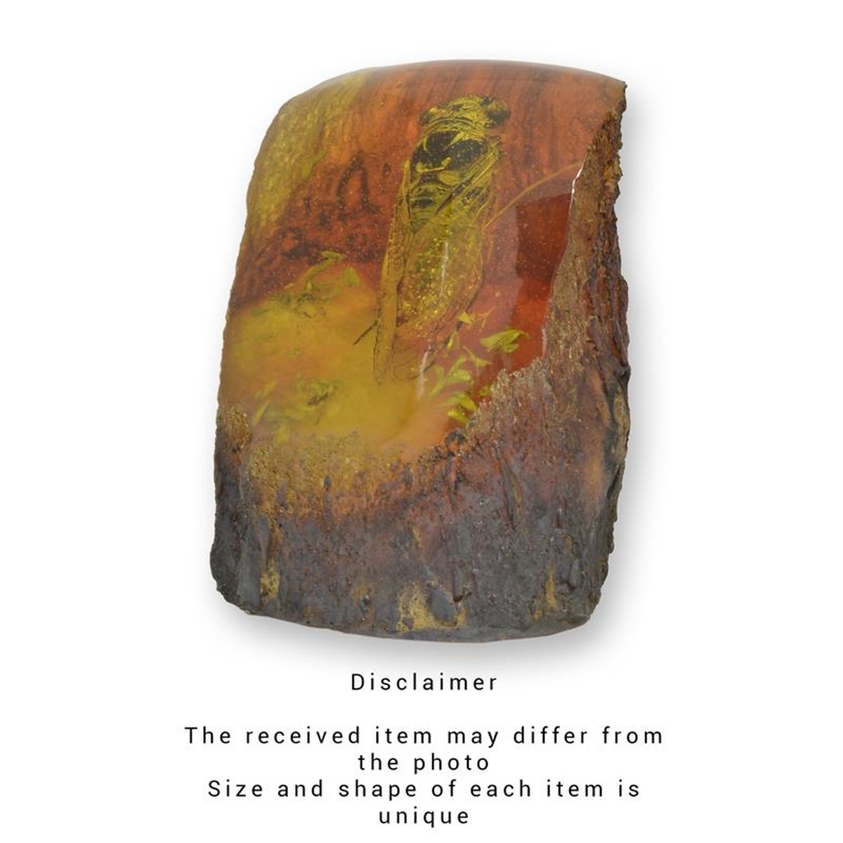 A CICADA ARTIFICIAL AMBER FOSSIL