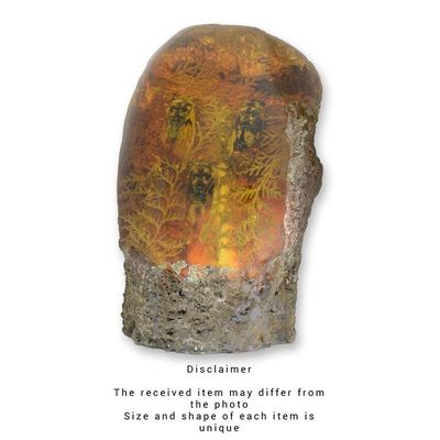 A CICADA ARTIFICIAL AMBER FOSSIL