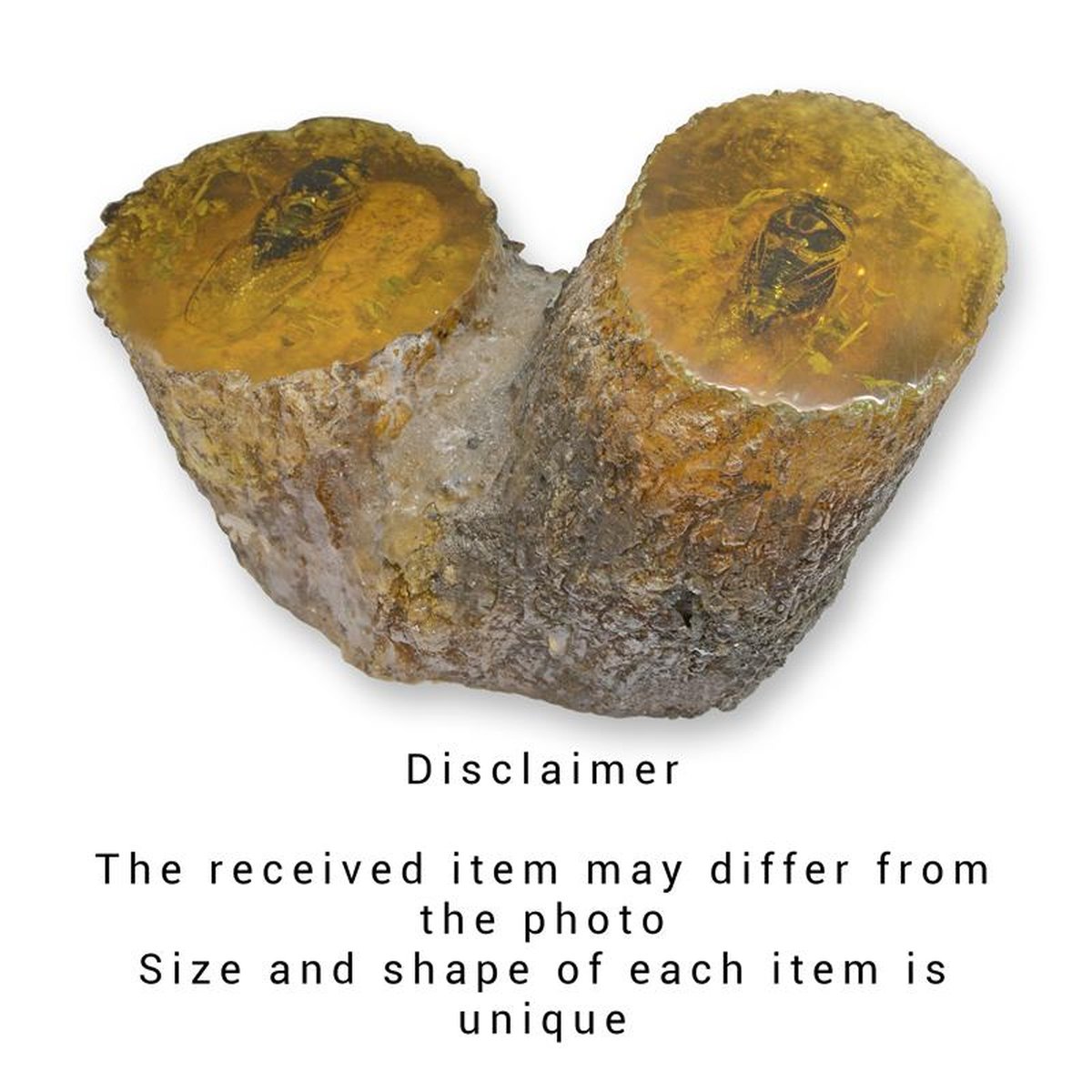 A CICADA ARTIFICIAL AMBER FOSSIL