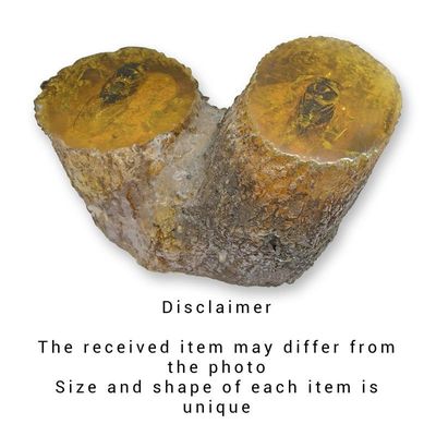A CICADA ARTIFICIAL AMBER FOSSIL