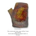 A CRAB ARTIFICIAL AMBER FOSSIL