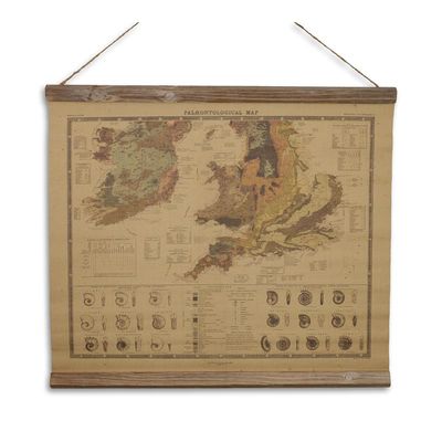 A LINEN SCHOOL PRINT PALAEONTOLOGICAL MAP""