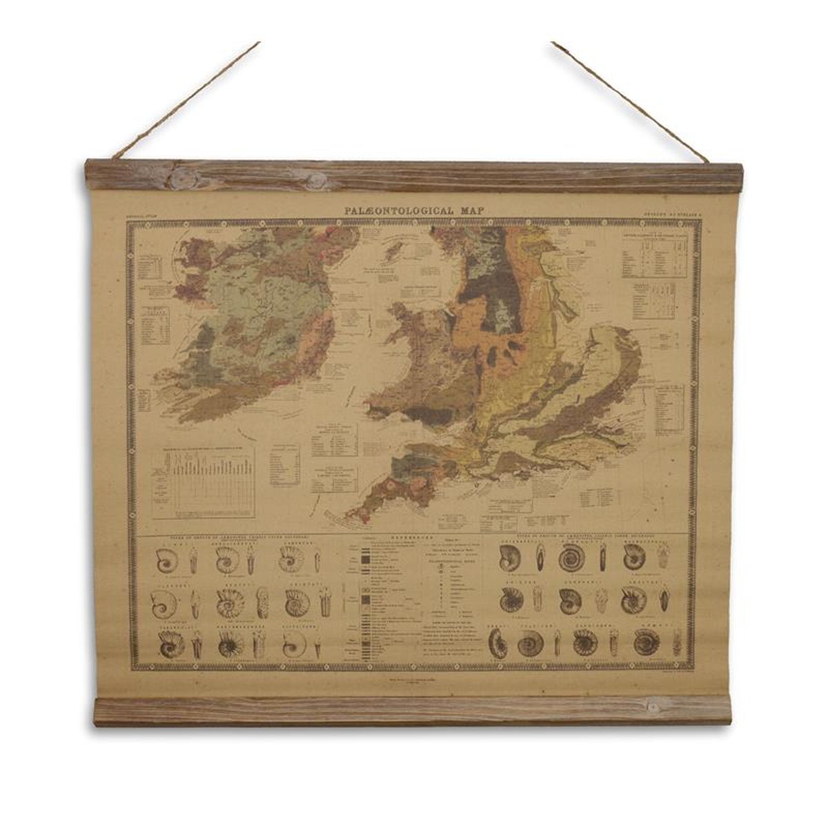 A LINEN SCHOOL PRINT PALAEONTOLOGICAL MAP""