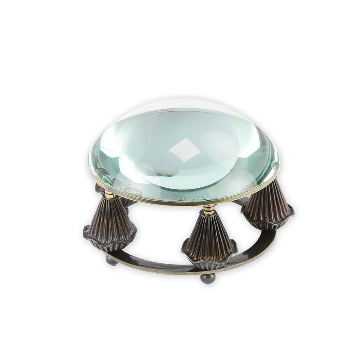 A MAGNIFYING DESK LENS