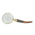A MAGNIFYING-GLASS