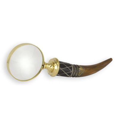 A MAGNIFYING-GLASS