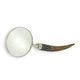 A MAGNIFYING-GLASS