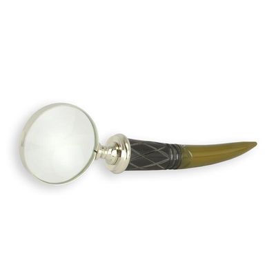 A MAGNIFYING-GLASS