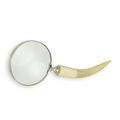 A MAGNIFYING-GLASS