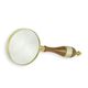 A MAGNIFYING-GLASS