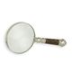 A MAGNIFYING-GLASS