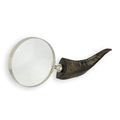 A MAGNIFYING-GLASS