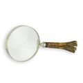 A MAGNIFYING-GLASS