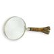 A MAGNIFYING-GLASS