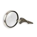 A MAGNIFYING-GLASS