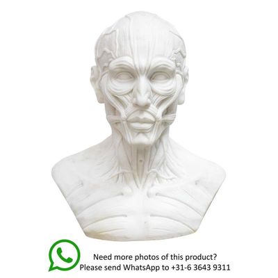 A MARBLE BUST OF A FLAYED MAN