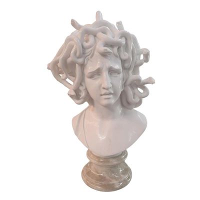 A MARBLE BUST OF MEDUSA