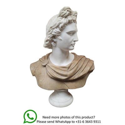 A MARBLE BUST