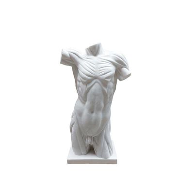 A MARBLE TORSO OF A MAN