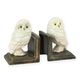 A PAIR OF CAST IRON OWL BOOKENDS