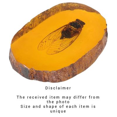 A PAIR OF CICADA ARTIFICIAL AMBER FOSSILS
