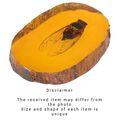 A PAIR OF CICADA ARTIFICIAL AMBER FOSSILS