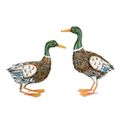 A PAIR OF IRON WILD DUCKS