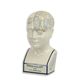 A PORCELAIN PHRENOLOGY HEAD / COLOURED