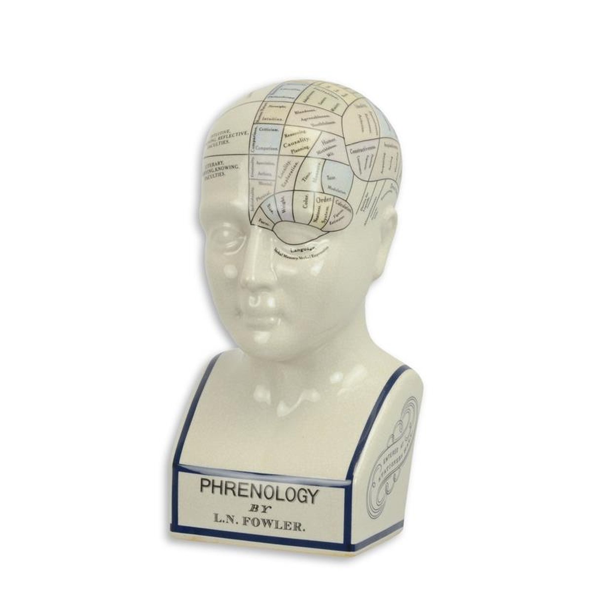 A PORCELAIN PHRENOLOGY HEAD / COLOURED