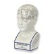 A PORCELAIN PHRENOLOGY HEAD