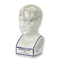 A PORCELAIN PHRENOLOGY HEAD