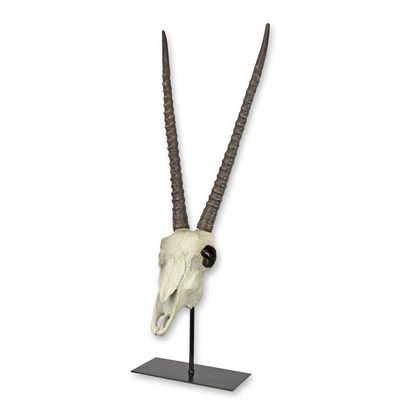 A RESIN CHINKARA OR INDIAN GAZELLE SKULL ON STAND