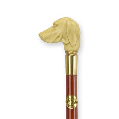 A RESIN-HANDLED WALKING STICK
