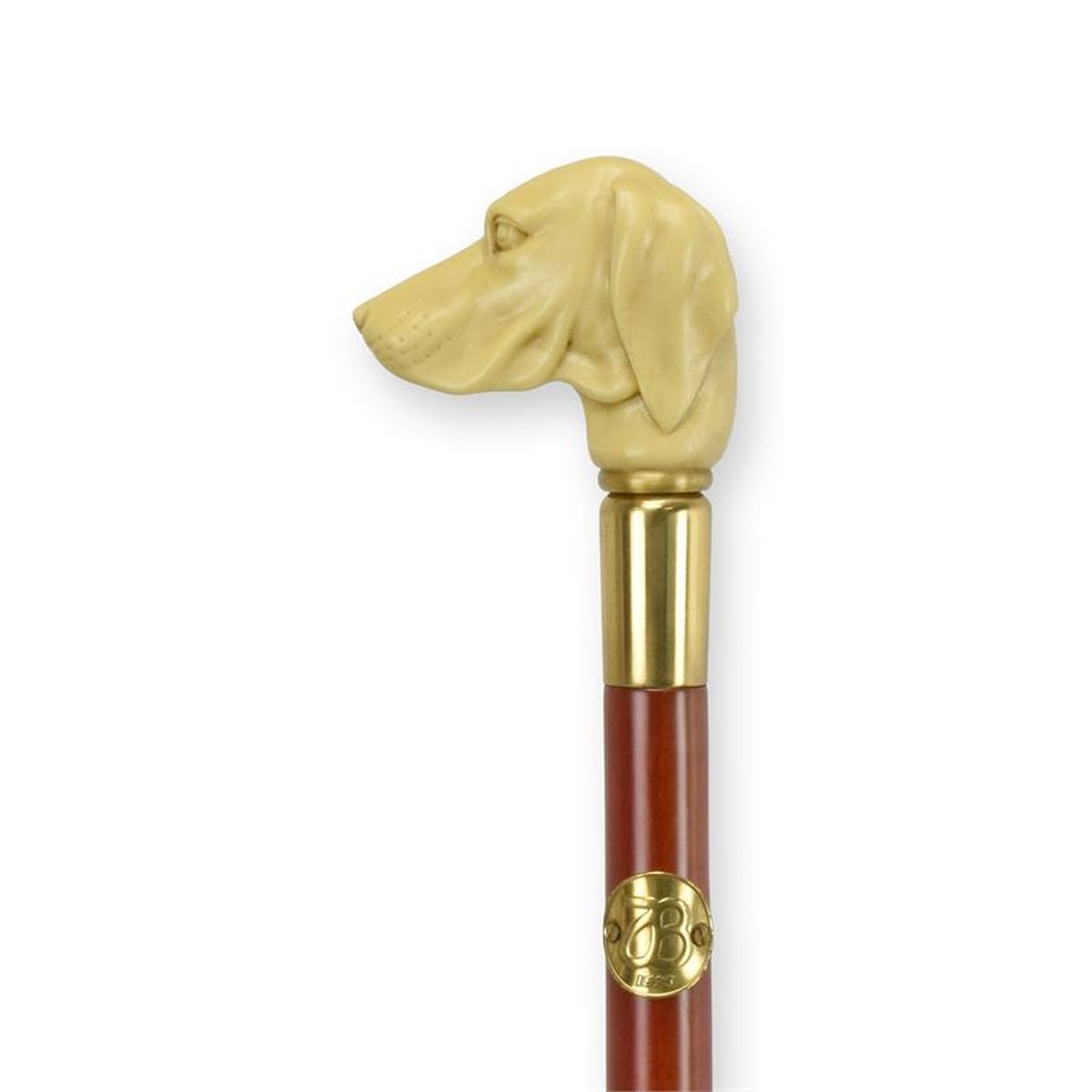 A RESIN-HANDLED WALKING STICK