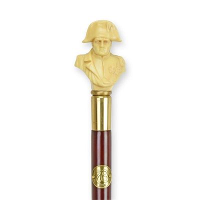 A RESIN-HANDLED WALKING STICK