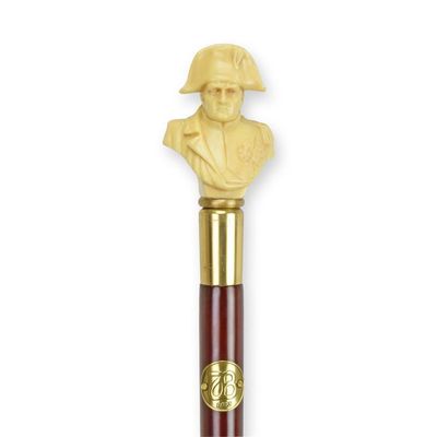 A RESIN-HANDLED WALKING STICK